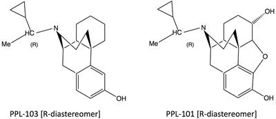 In Vitro and In Vivo Profile of PPL-101 and PPL-103: Mixed Opioid Partial Agonist Analgesics with Low Abuse Potential